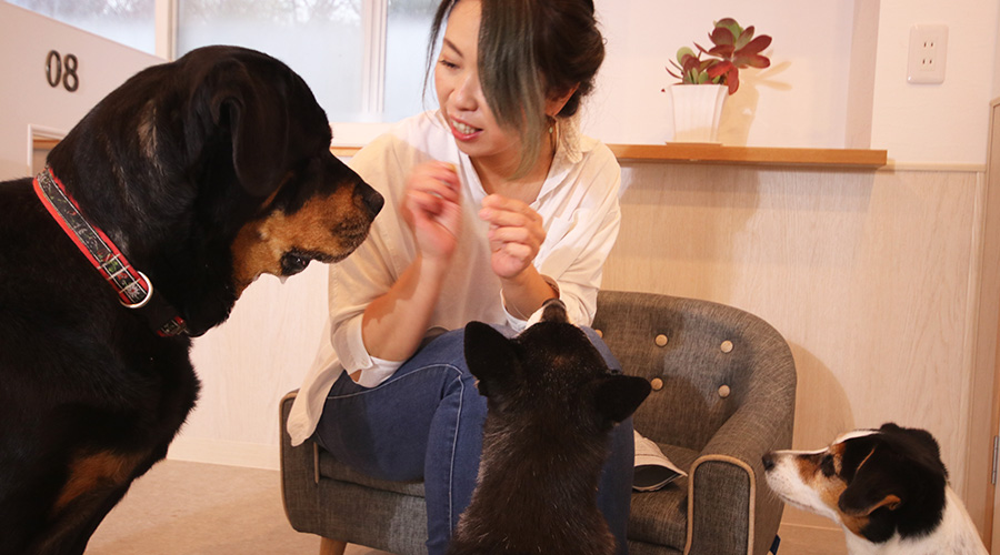 茅野市 ドッグサロン オーナートリマー