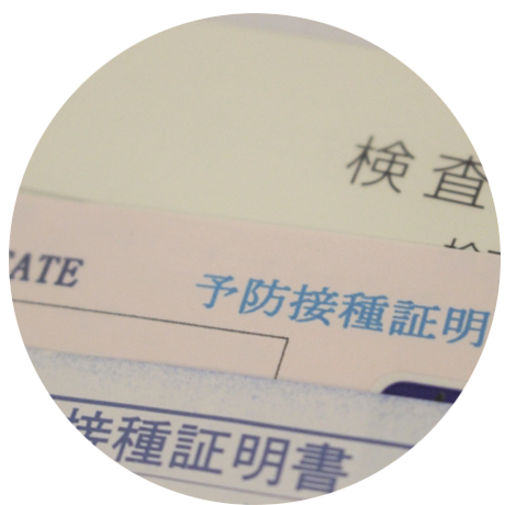 ペットホテル 持ち物