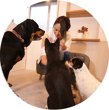 ペットホテル 持ち物