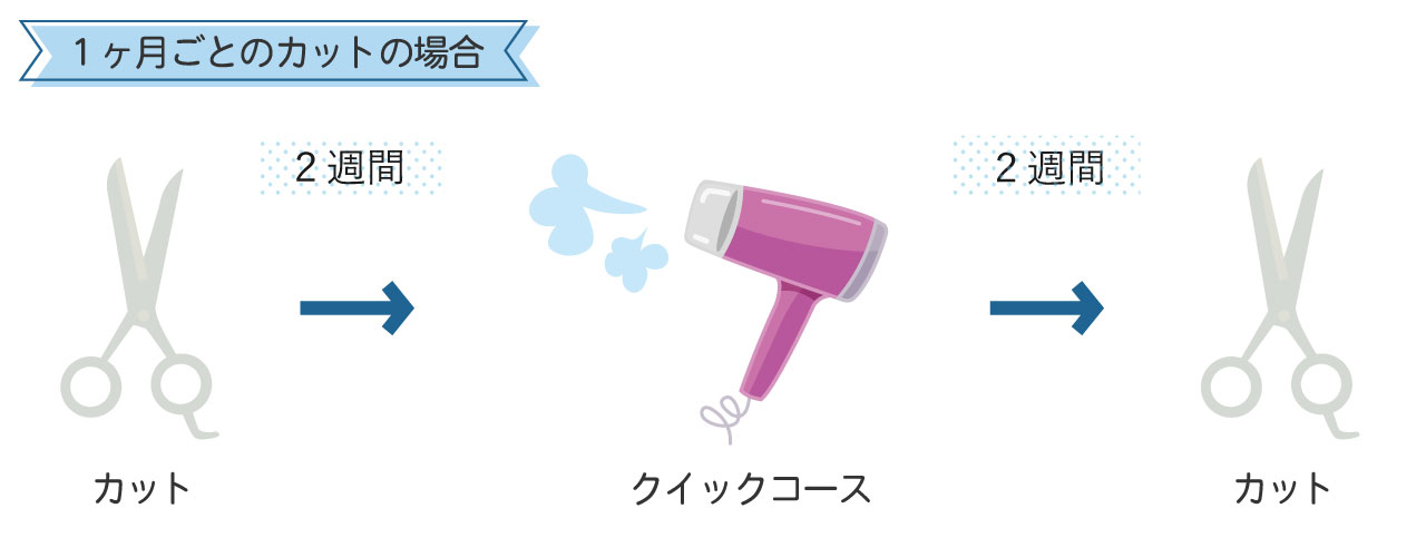 ドッグサロン クイックコース説明